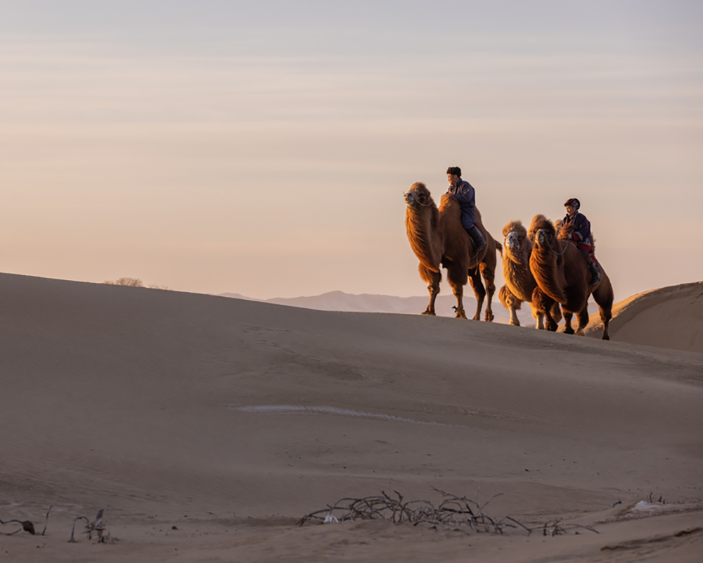 Mongolian Soulscape