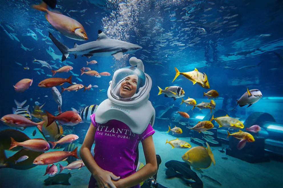 AquariumExperiences-Lifestyle-SharkSafariSplashSale