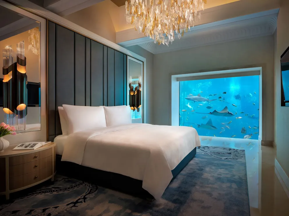 PHY2025.ATP_Underwater_Suite04V2_LR