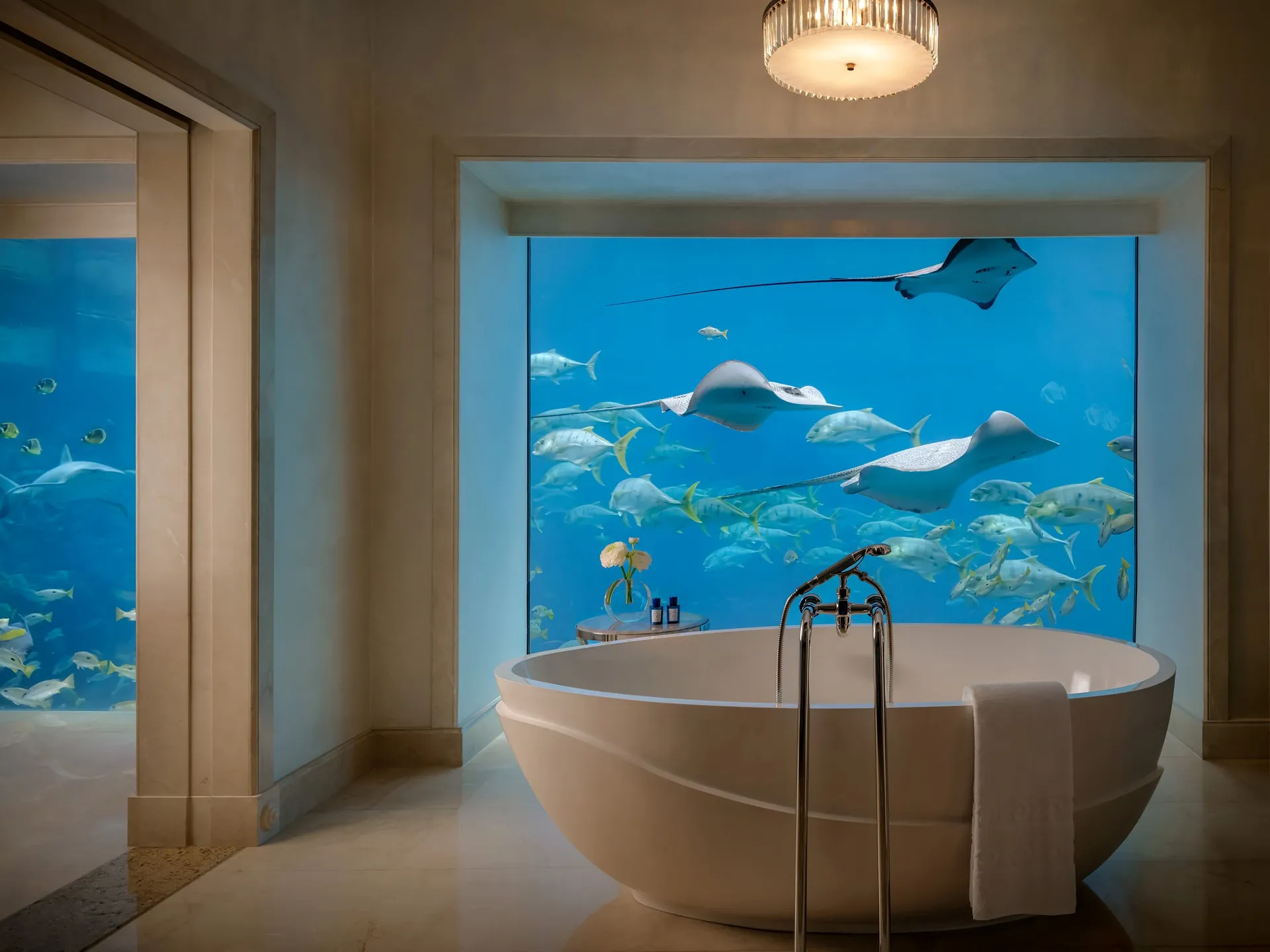 PHY2025.ATP_Underwater_Suite05_LR